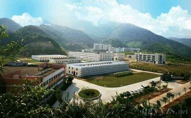 氣血不足?看看這款藥店熱銷的藥品!